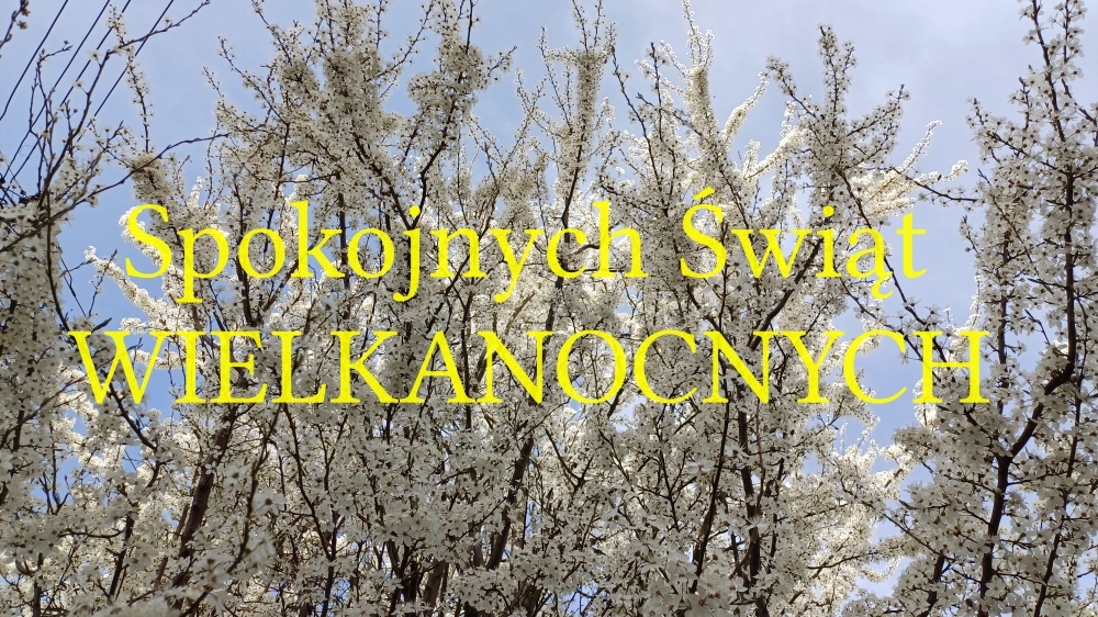 Krásné Velikonoce!