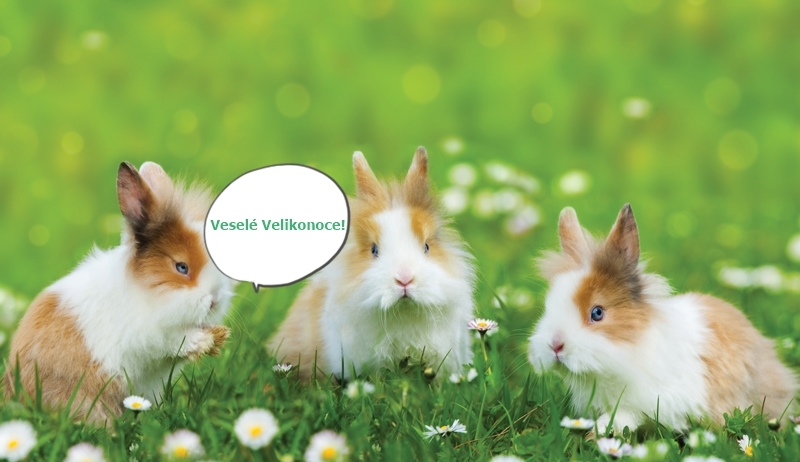 Veselé Velikonoce!